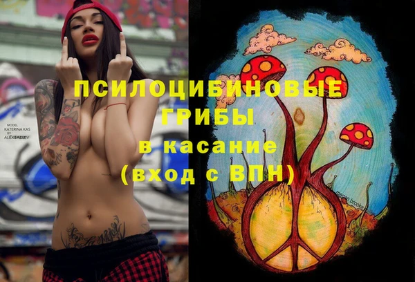 герыч Россошь