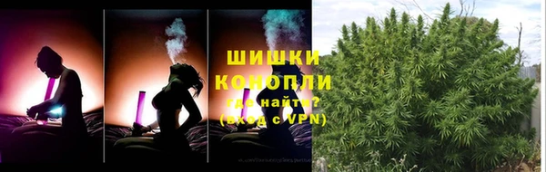 шишки Рославль