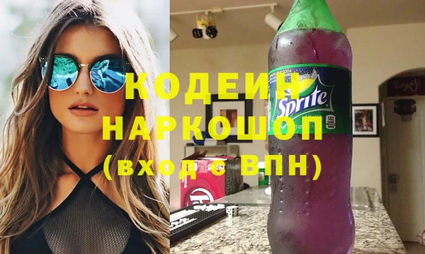 шишки Рославль
