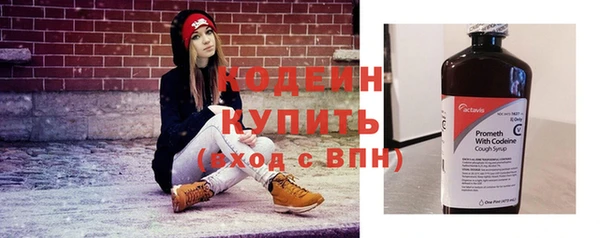 шишки Рославль