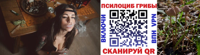 Псилоцибиновые грибы мухоморы  Купить закладки  Дальнереченск 
